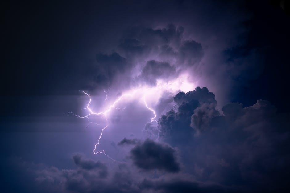 Power Lunches to Keep You Energized All Day