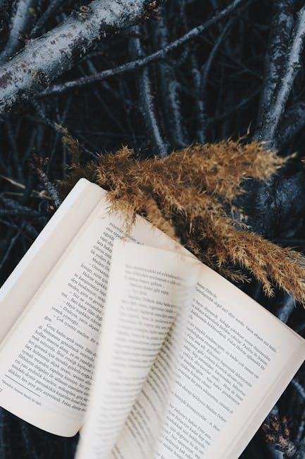 Cultural Corners: Unique Ambiances That Inspire Social Sharing