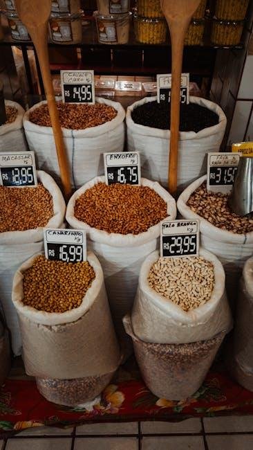 Exploring Plant-Based Proteins: Power Ingredients for Vegetarian Meals